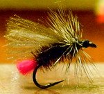 72_45dace99afda6.jpg