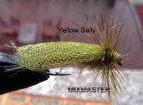 MIXMASTER- Yellow Sally with special wings.jpg