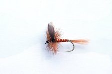 red_spinner_fly_fishing.jpg