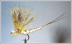 Mohican Mayfly.jpg