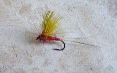 redSpinner.jpg