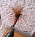 Red spinner2.jpg
