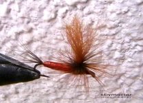 Red spinner3.jpg