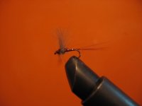 IMG_3414.jpg