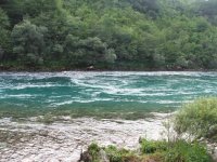 Dve Drine.jpg