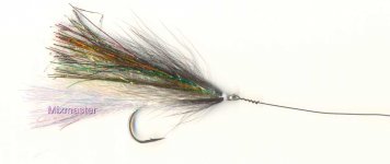 Pike Streamer + Toothy Critter.jpg