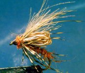 Mr.Zakula's rising caddis.jpg