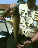 image_0005.jpg