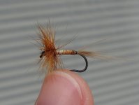 quil brown cock.jpg