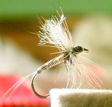 Grey Quill.jpg