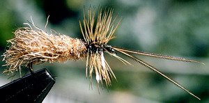 Zakula Sintetic Sedge 3..jpg