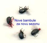 Nove bambule.jpg