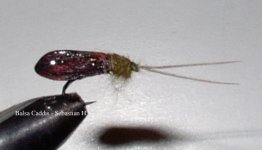 balsa caddis.jpg