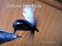 15_45c85f5518c99.jpg