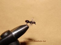 bambula ant.jpg