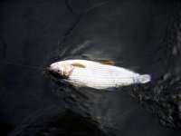 DSCN4260.jpg