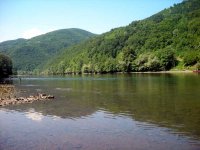 DSCN4267.jpg