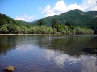 DSCN4268.jpg