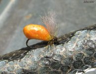 Fire Orange Bambula.jpg