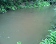 img140.jpg