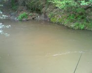 img141.jpg