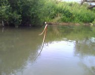 img144.jpg