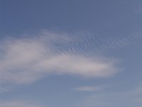 DSC02801.jpg