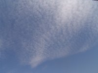 DSC02802.jpg