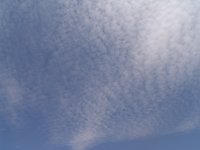 DSC02803.jpg