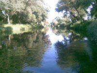 22062008(001)SDFGVSDF.jpg