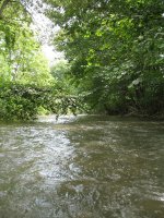 IMG_3T.jpg