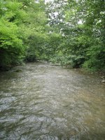 IMG_4T.jpg