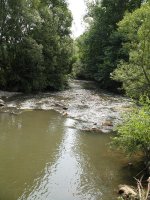 IMG_8T.jpg