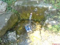 DSC00286.JPG