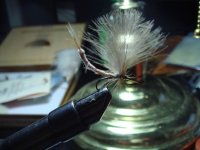 7 [Desktop Resolution].JPG