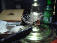 4 [Desktop Resolution].JPG