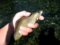 IMG_3301.jpg