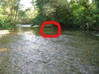 Mesto gde je pala prva bambula.jpg