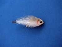 small slinky baitfish.jpg