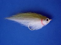 medium slinky baitfish.jpg