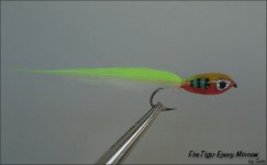 FT minnow.jpg