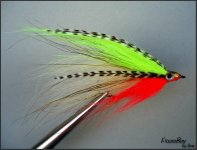 fluoroboy.jpg