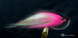 pussy-pink-pike-fly.jpg