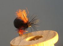 bambula 1.JPG