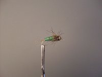 SDC12244.JPG