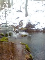 Slika0265.jpg