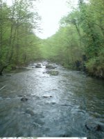 DSC00056.JPG
