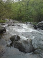 DSC00058.JPG