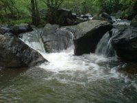 DSC00070.JPG