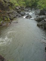 DSC00081.JPG